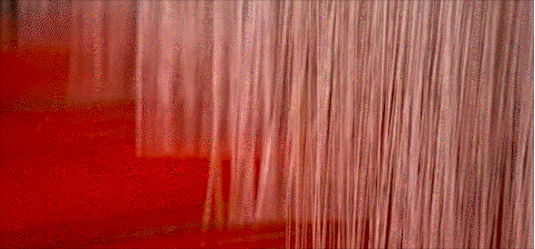 59005101.gif 蜀动画.gif